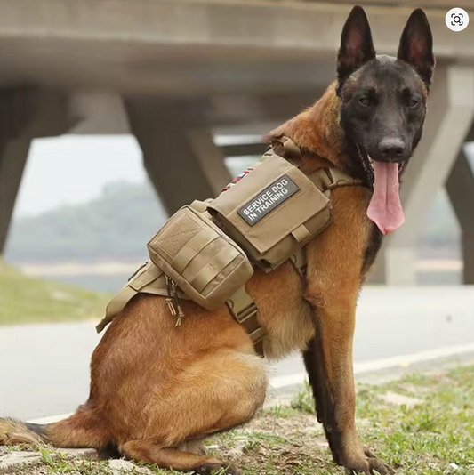 NORTHPAW ADVENTURE PACK™